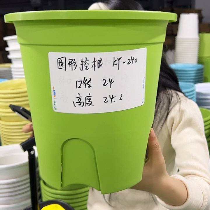 正品圆控根口24高24白色带托8个