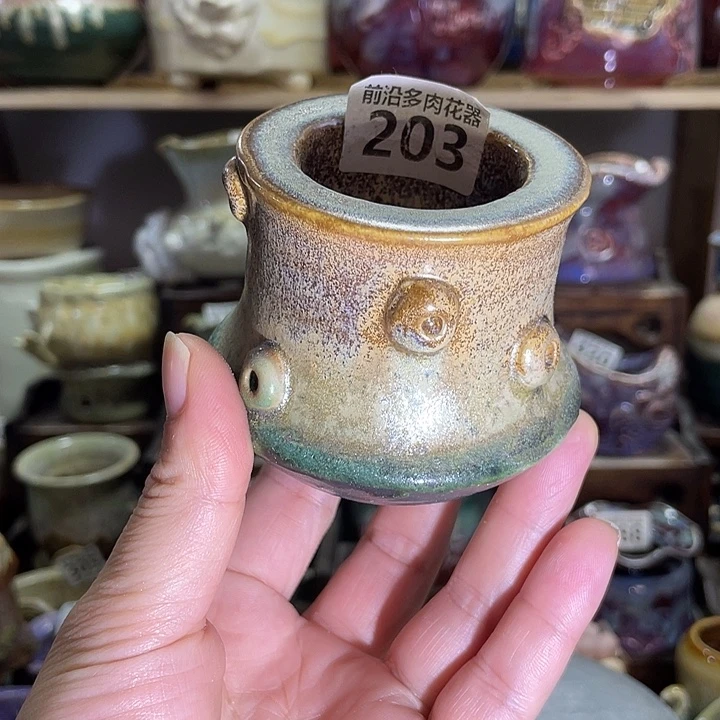 狼盆内口径4高度6