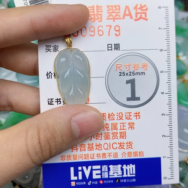 翡翠18K金镶嵌颈饰叶子