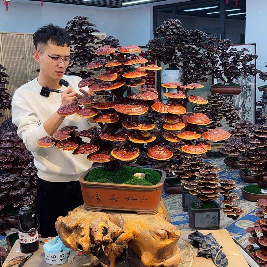 【闪购商品】888888