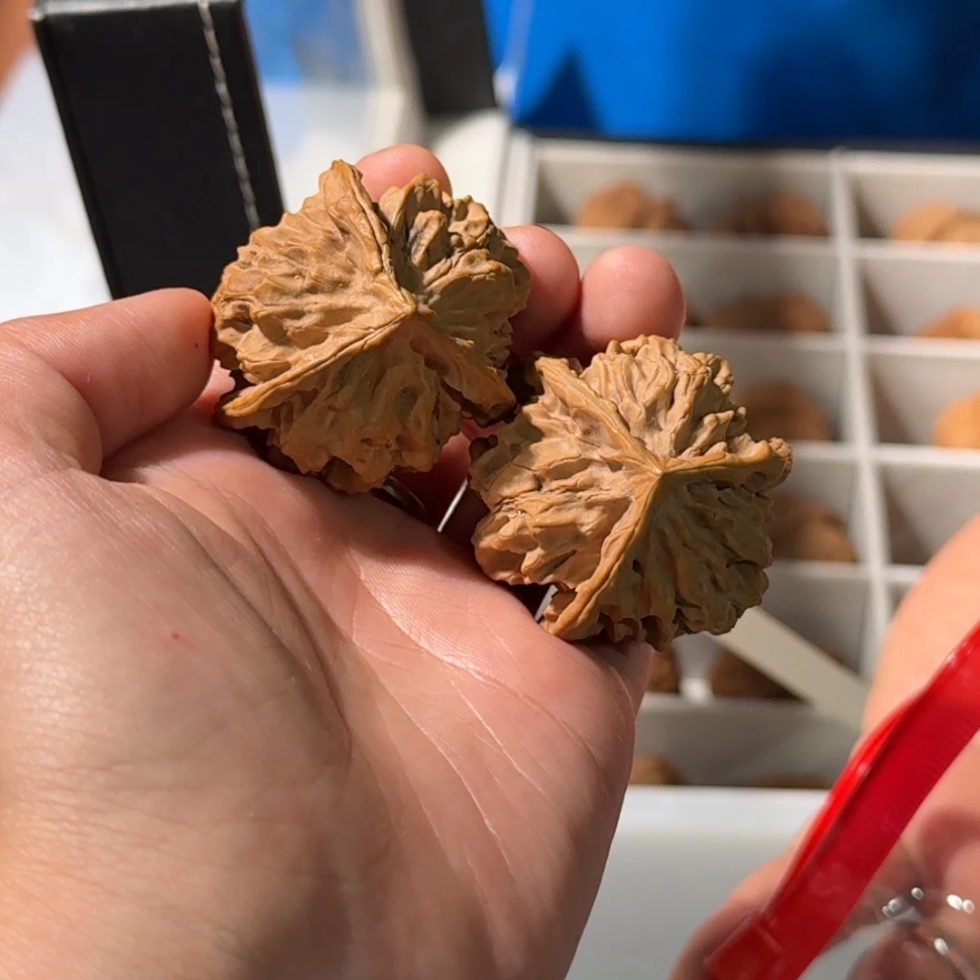 文玩核桃把件三棱五号帝王狮子头