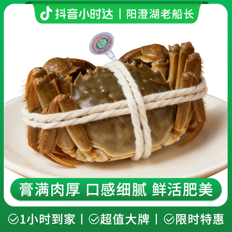 【两只装】鲜活大闸蟹（母蟹）2.5两
