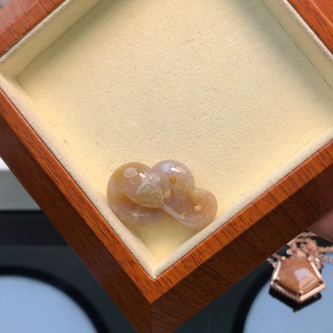 硅化珊瑚（珊瑚玉）颈饰未镶嵌