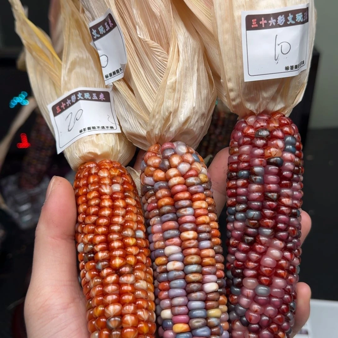 柏香籽/百香籽吊坠你****！