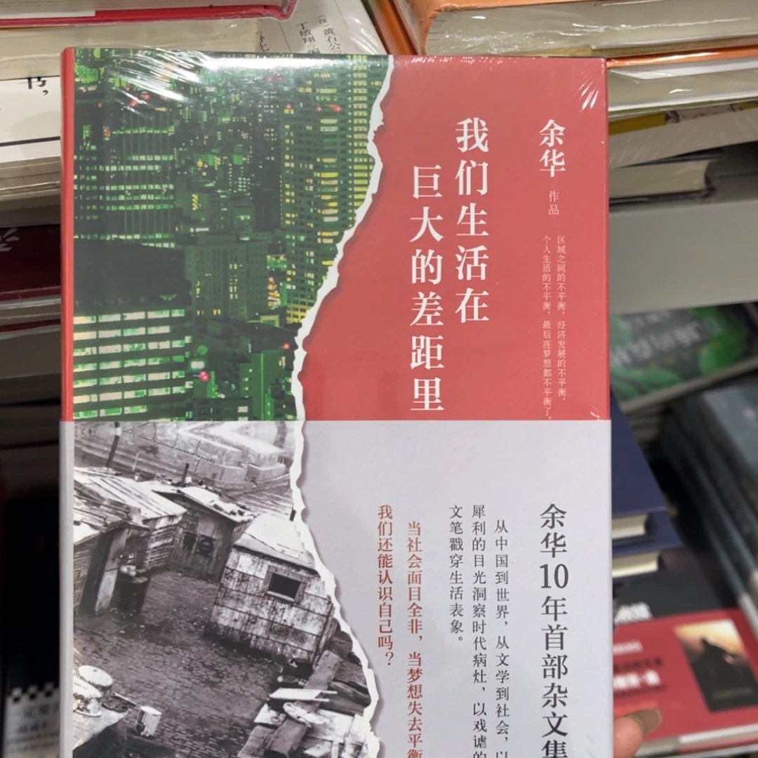 我们生活在巨大的差距里精装