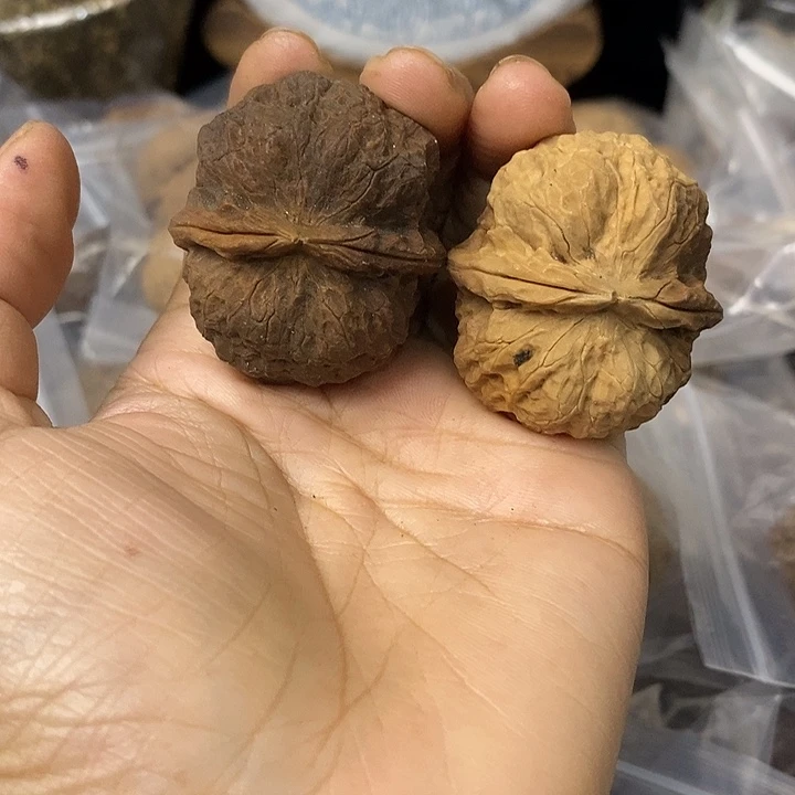 核桃云南铁核桃基地43