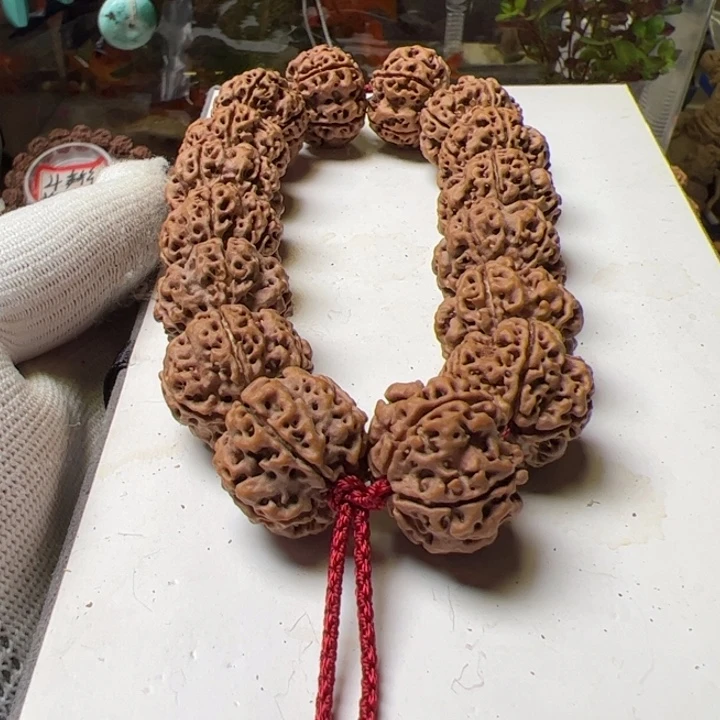 金刚菩提手串22安娜梅花双龙