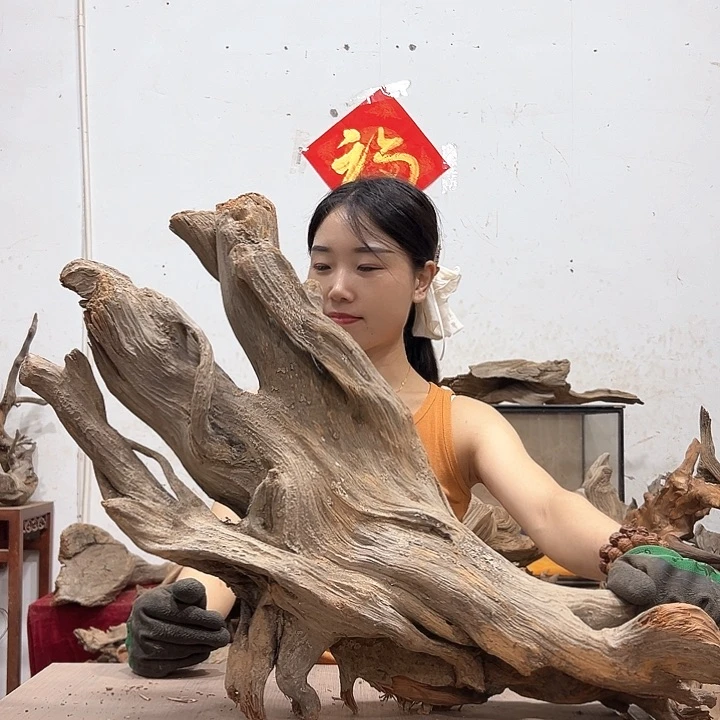 柏木执*我们都是好孩子