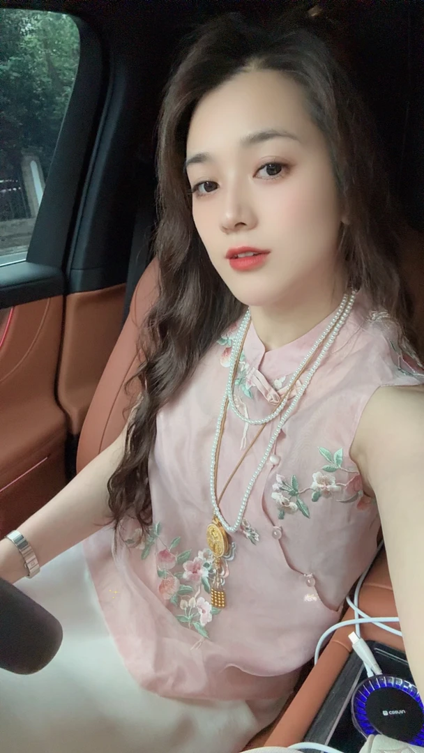 6916新中式国风立领斜襟盘扣衬衫女夏季新款小众高级感刺绣上衣