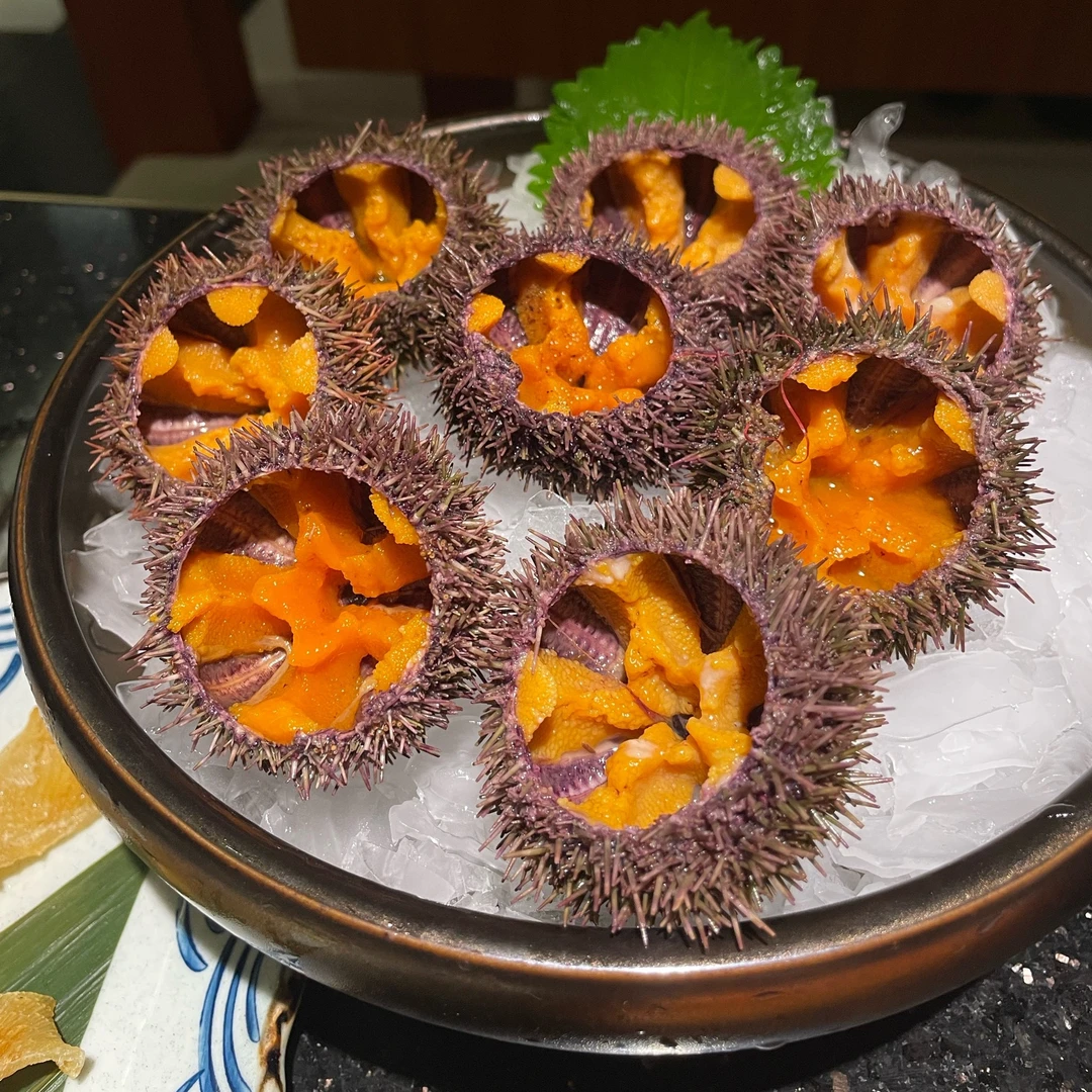 鲜活大连马粪海胆（2两）两个