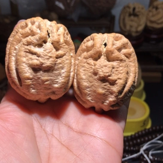 橄榄核吊坠粗筋乾坤鬼脸