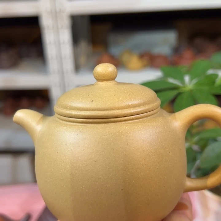 紫砂茶壶本绿匏尊180cc