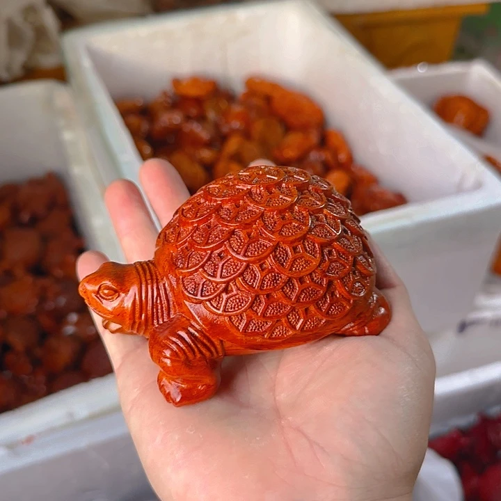 木花梨木12金钱龟一只