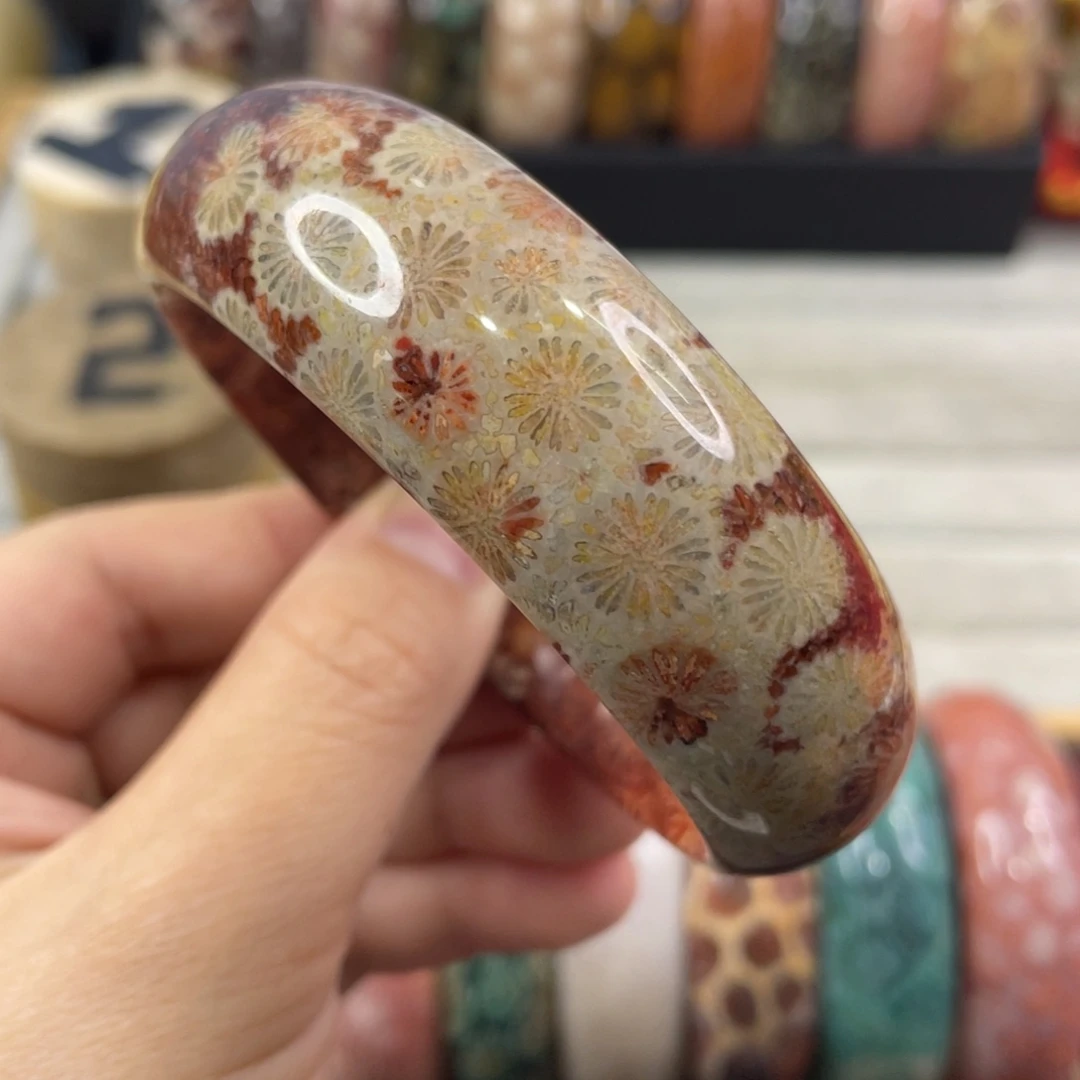 未镶嵌手镯硅化玉