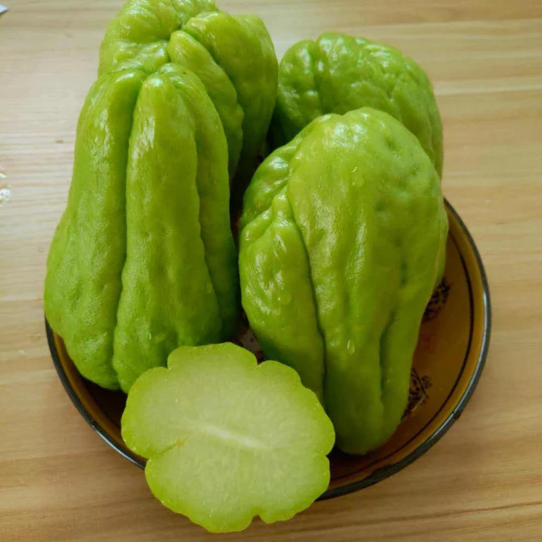 高山农家现摘新鲜佛手瓜炒菜炖汤凉拌皆宜——9——