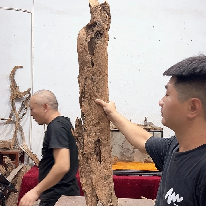 柏木四***༨我们的生活也是如此的