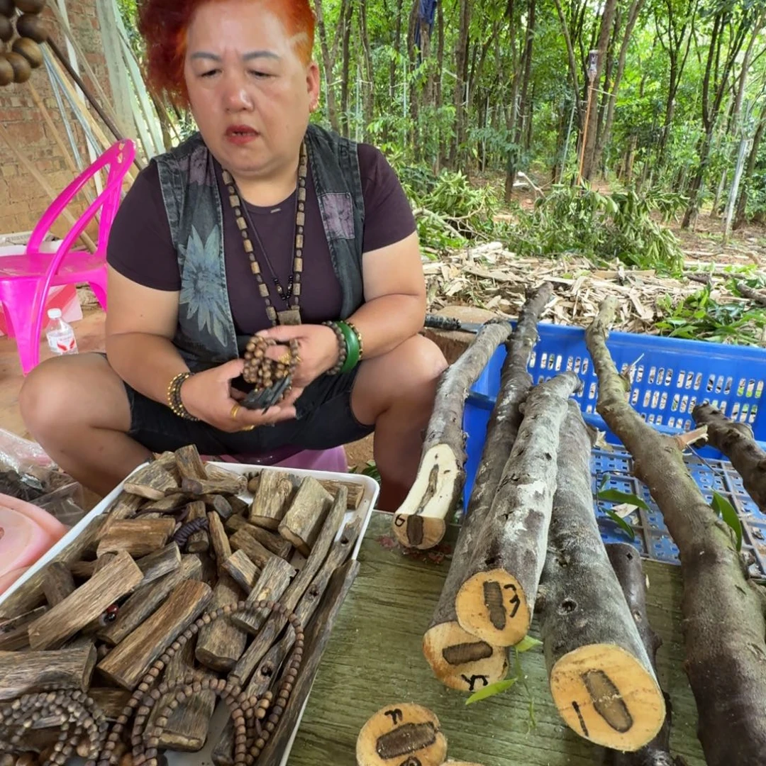 乐***线香奇楠沉香原木