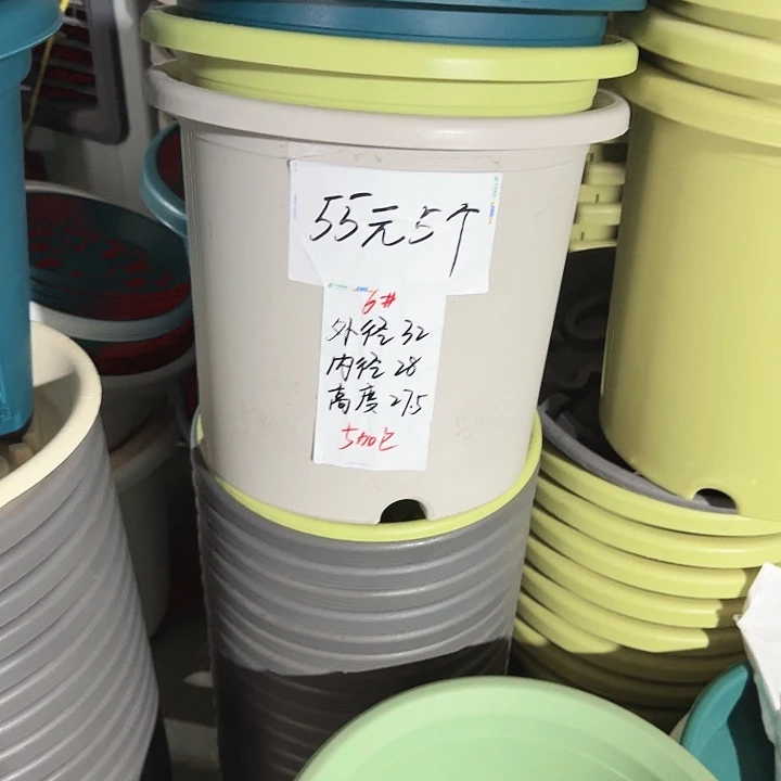 微瑕6#口径32高27无托灰白5个