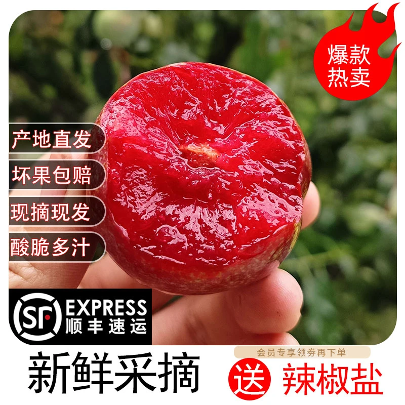【顺丰专享】红心李钱排正宗银妃三华李新鲜现摘现发水果1斤3斤5斤