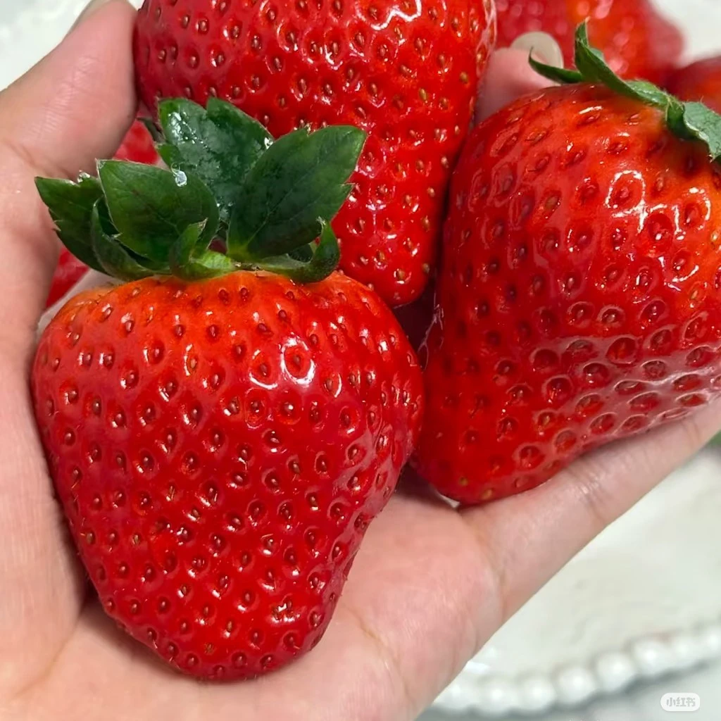 草莓4盒装配送到家