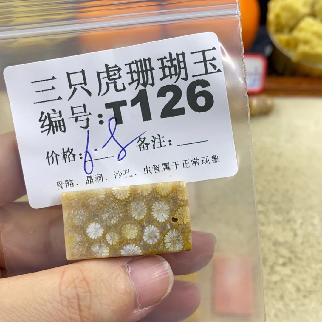 硅化珊瑚（珊瑚玉）1未镶嵌健**宁