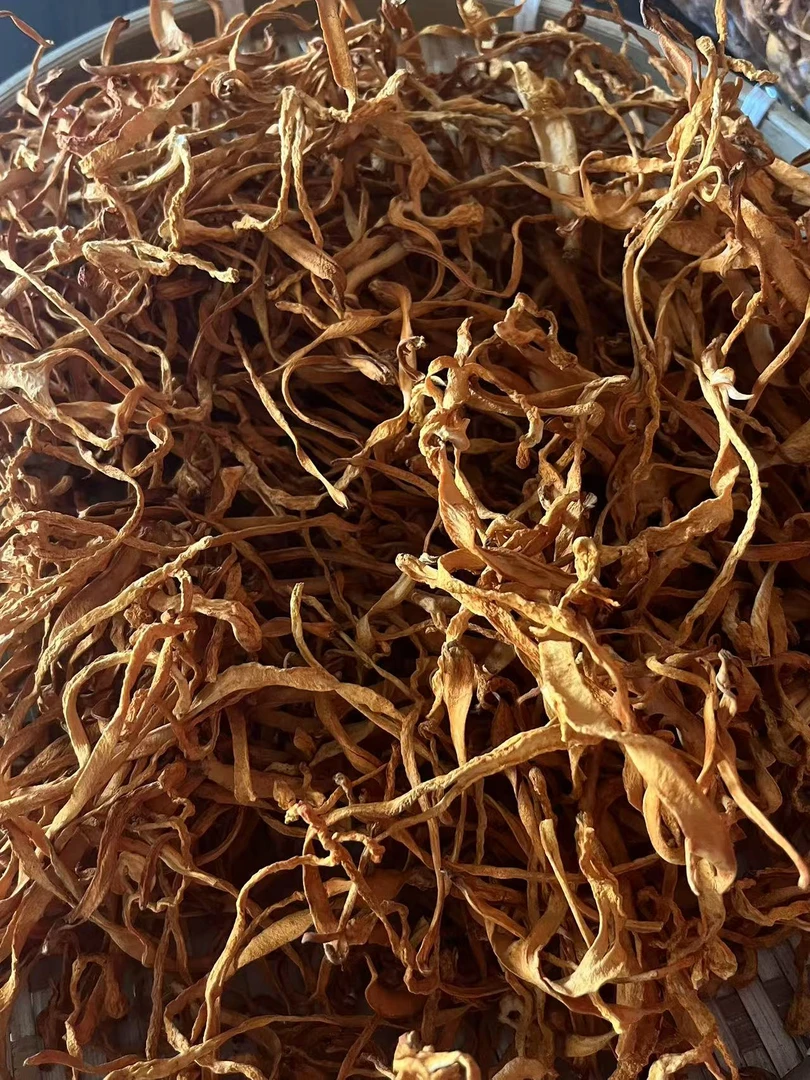 深山虫草花干货农家新货无干燥剂可用于炖鸡煲汤的菌菇食材