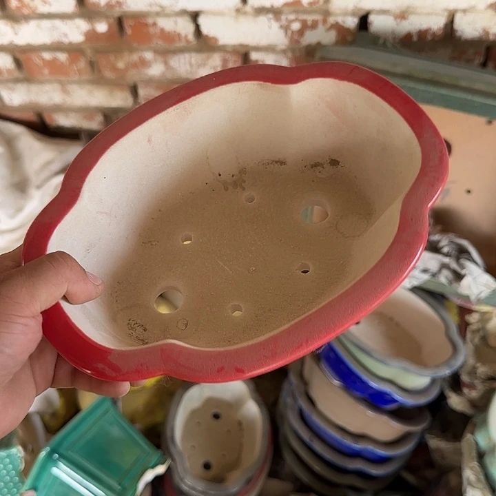我在上课你呢么有去