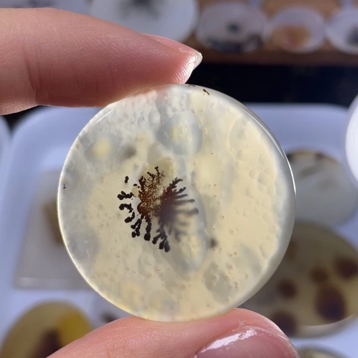 玛瑙/玉髓未镶嵌玛瑙象形福利款