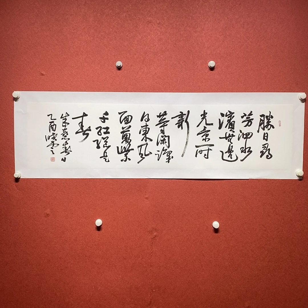 书法盛日寻芳直播大漏