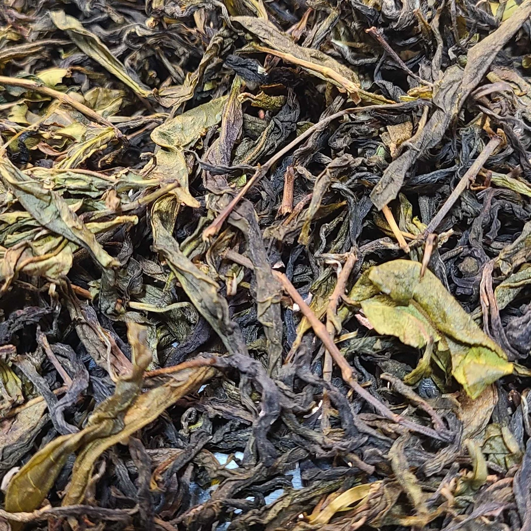 重磅上新高马味2025年新毛茶