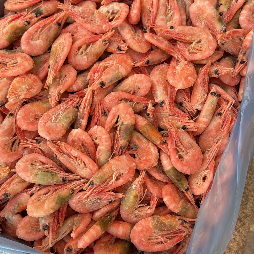 北极虾4斤净重   2025年新虾有部分青黑头腹子   顺丰发货