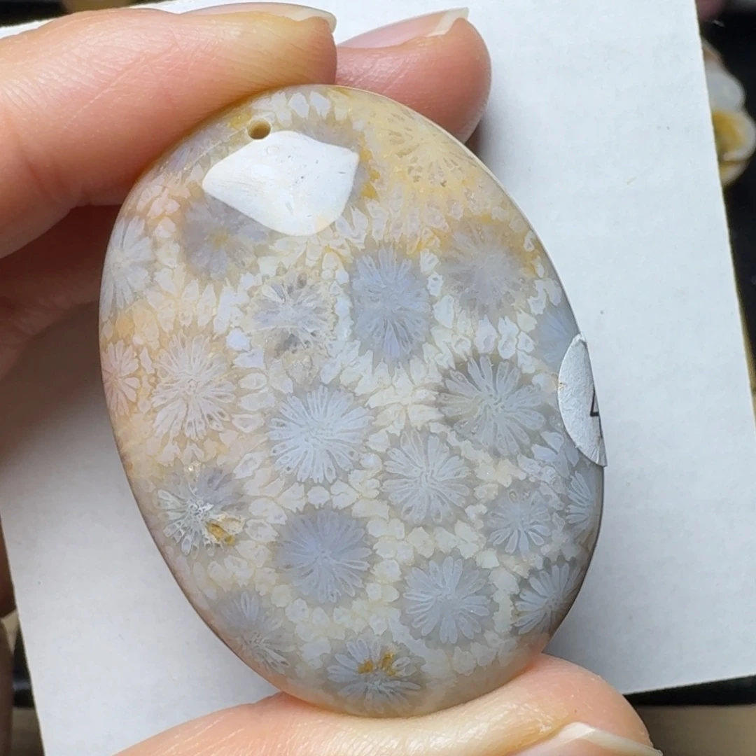 硅化玉淡彩大花，椭圆未镶嵌