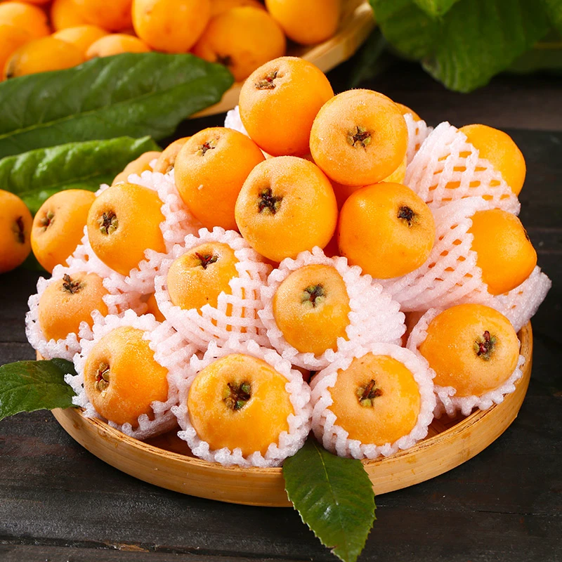 【顺丰速运】FL四川汉源新鲜采摘皮薄多汁树熟甜枇杷【5斤】