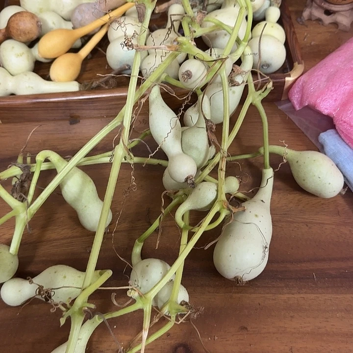 酷***B欧豆豆豆豆福多多的yf