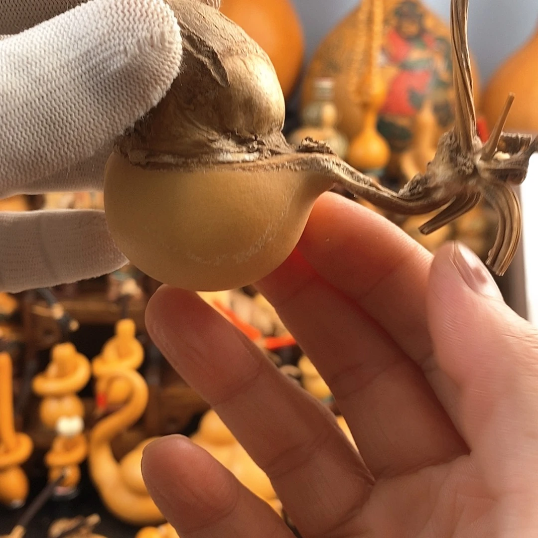 昆***心啊啊啊啊啊啊啊啊