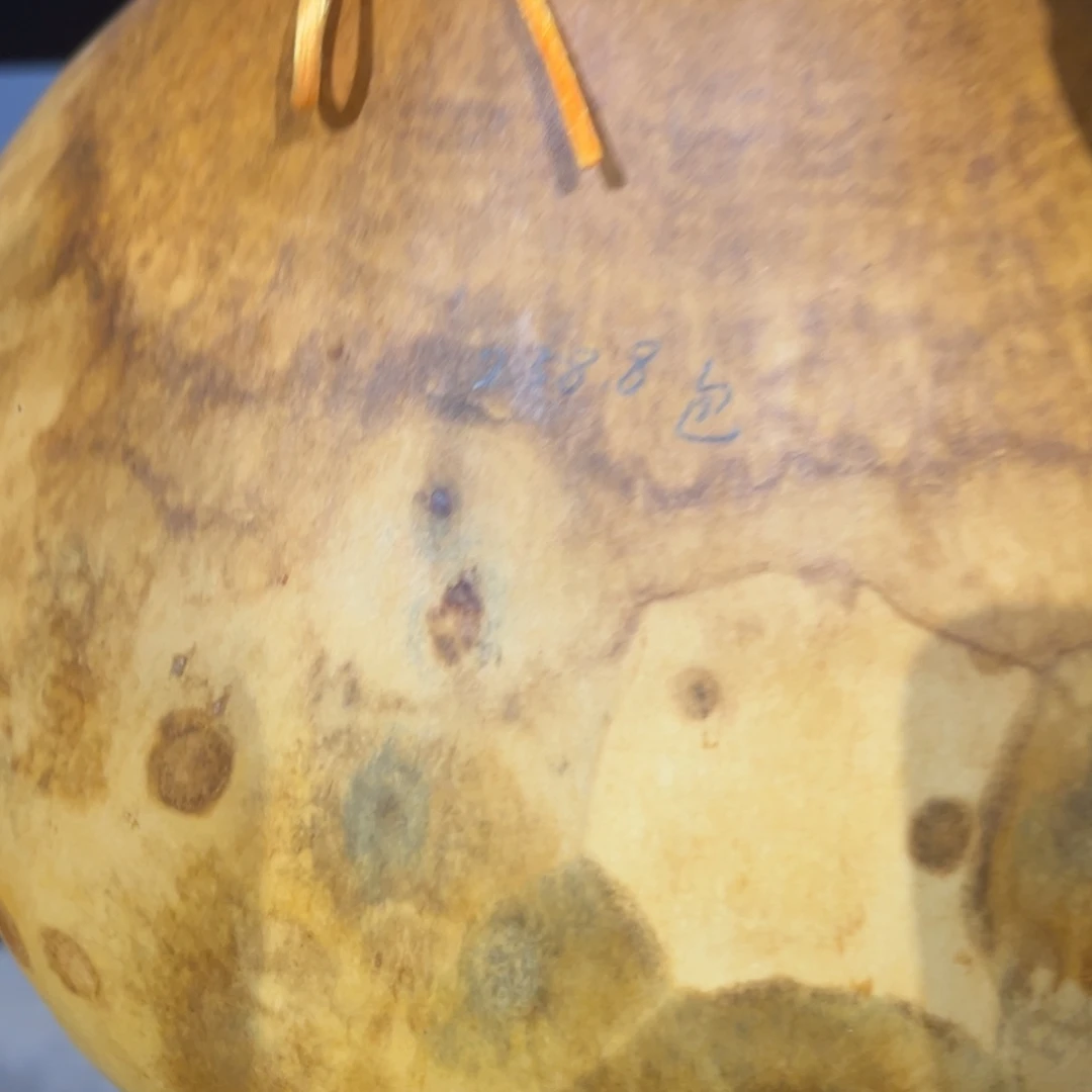 小****包邮带底座全品钱袋子