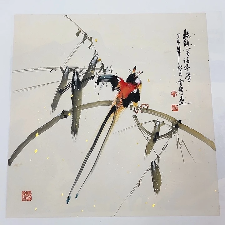 国画国画 新号开播 全场低价交朋友