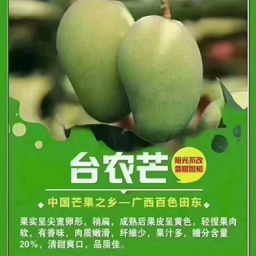 广西百色新鲜现摘正宗大台农小台农香甜多汁核小味浓