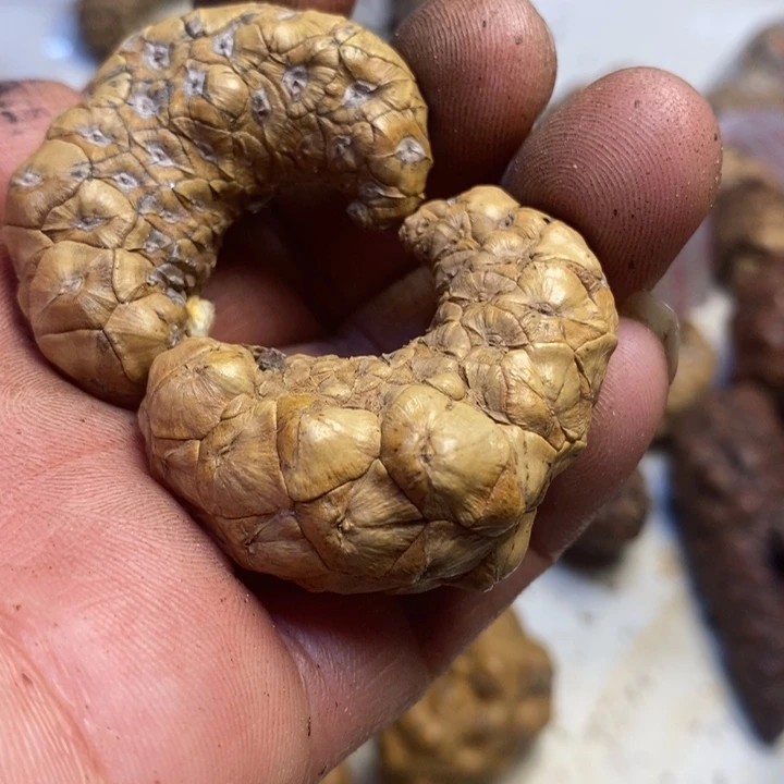 吊坠桃核东北特产135