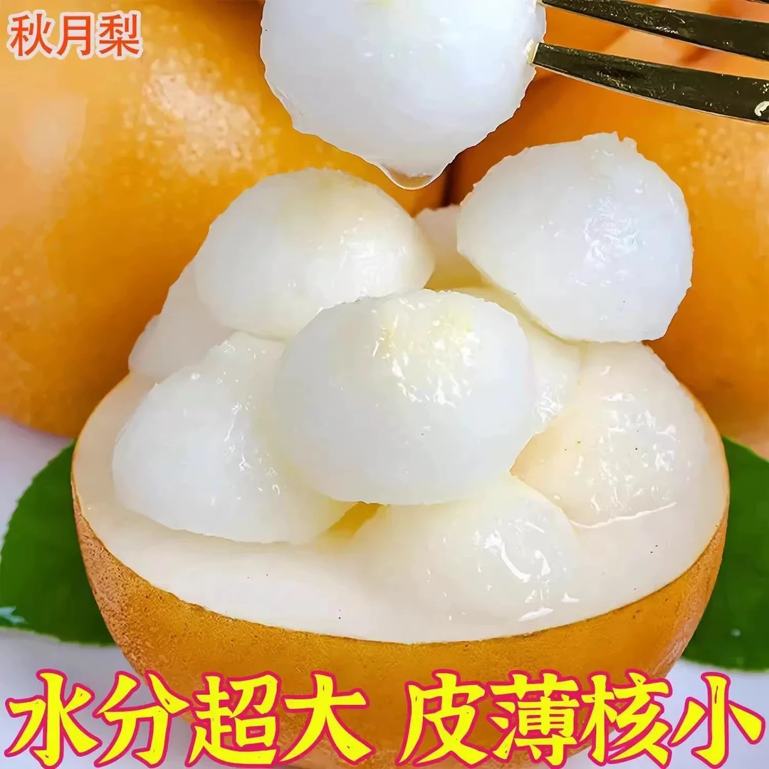 头茬秋月梨新鲜当季现摘脆甜多汁水果整箱包邮