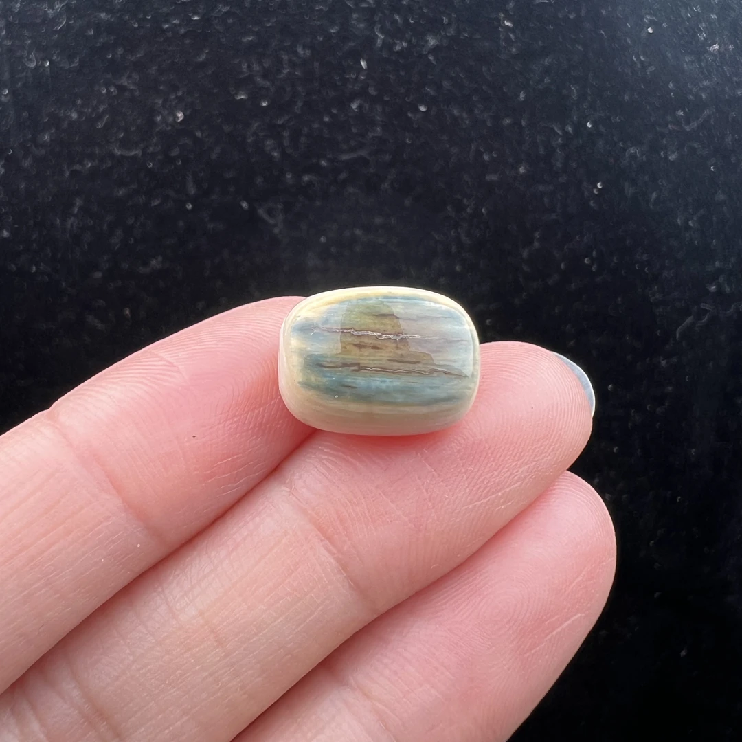 D8616天然猛犸牙 蓝眼睛单珠10.4*13.7mm支持鉴定 假一罚四