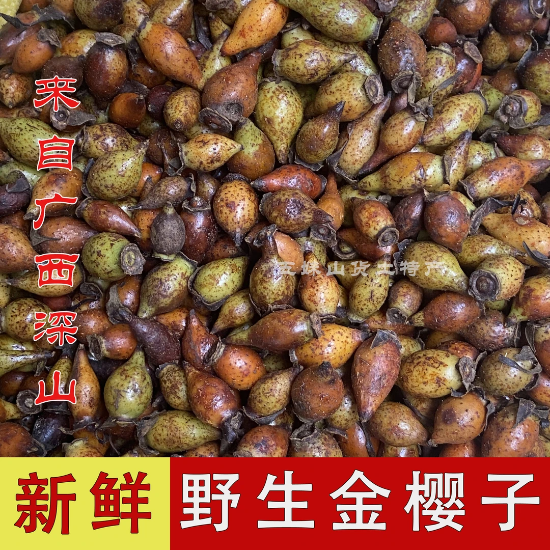 新鲜野生金樱子鲜果泡酒糖罐子广西深山当季新货无添加