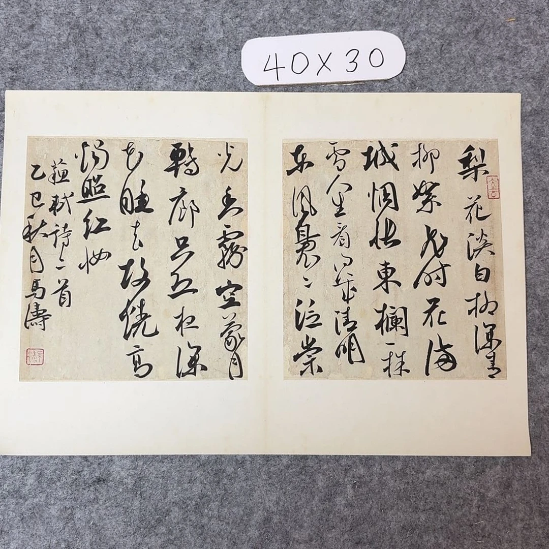 书法中书马涛40×30