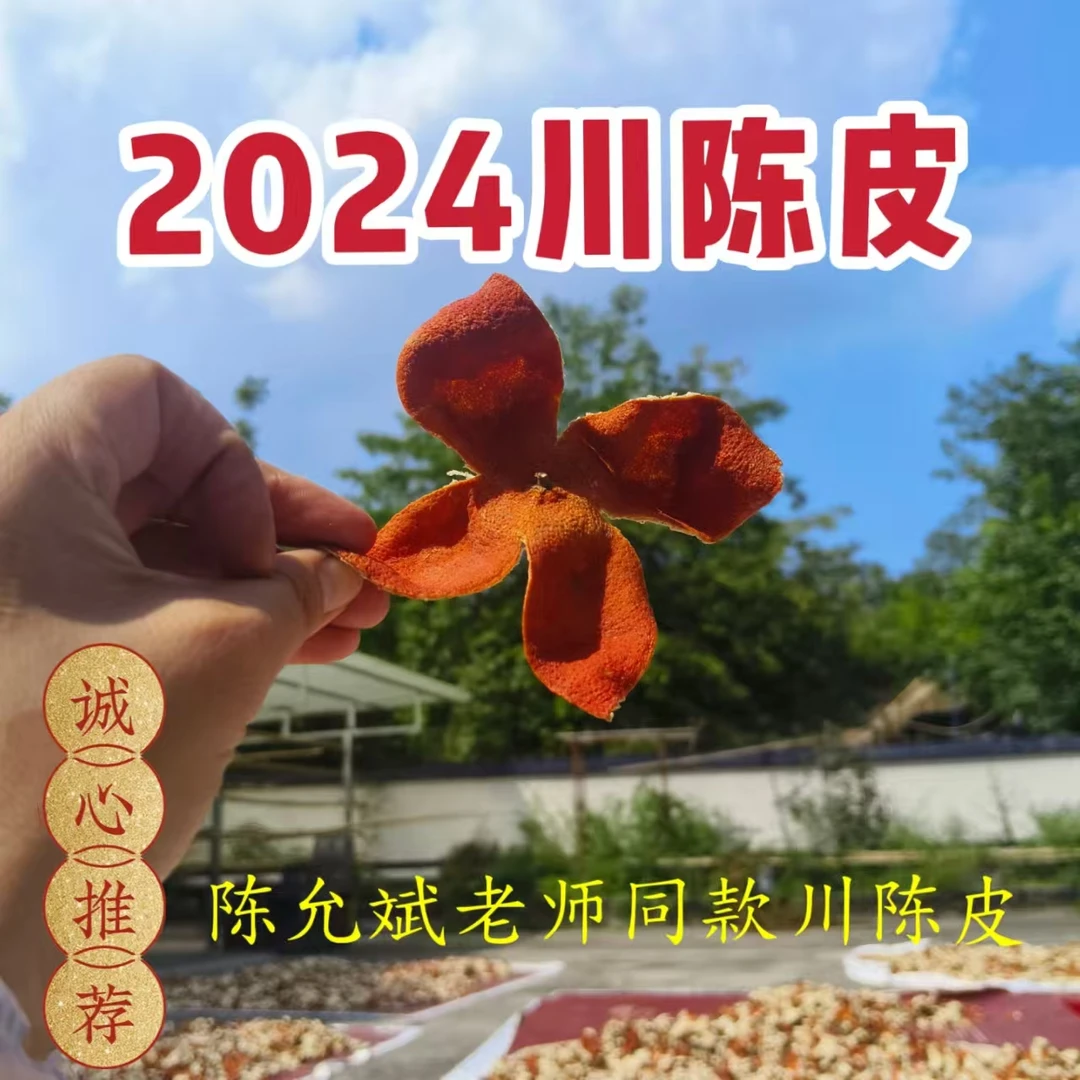 正宗川陈皮 野生老树古树大红袍柑皮 川红橘皮 2024年底制作