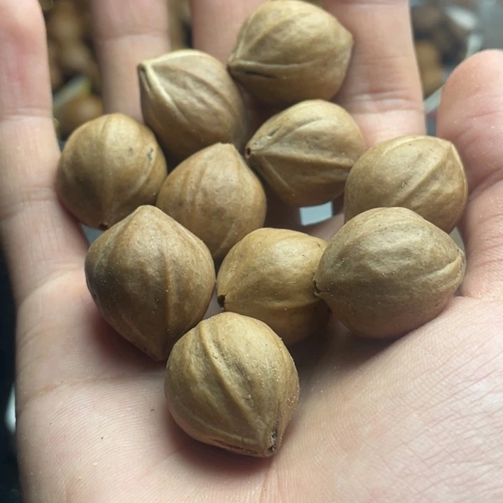 手串/手链橄榄核1.9