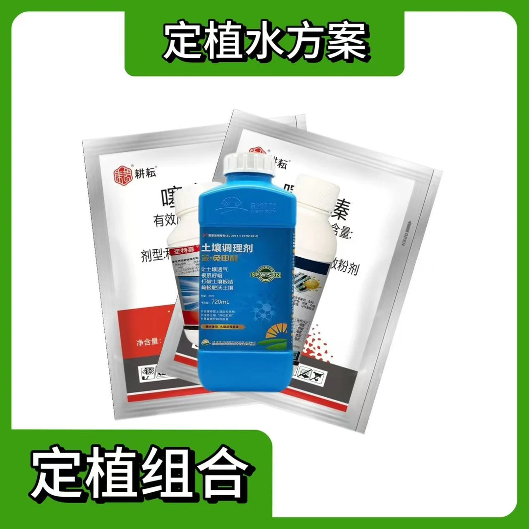 三冲组合定值水松土养根植株健壮