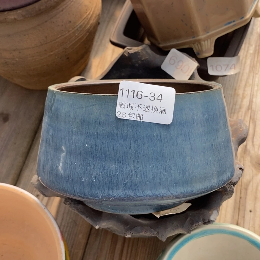 34号花盆内10高7.5