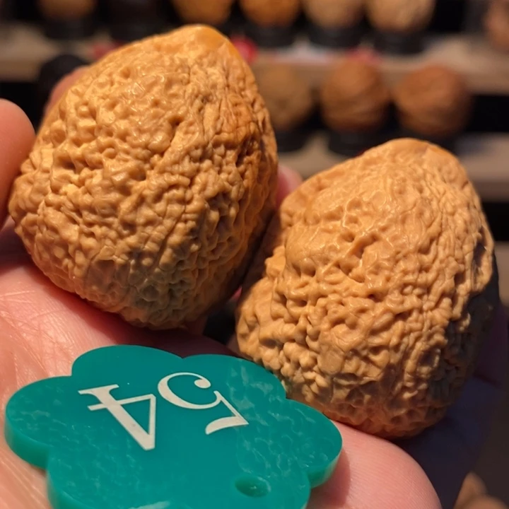 木质类七彩铁南疆39尺寸