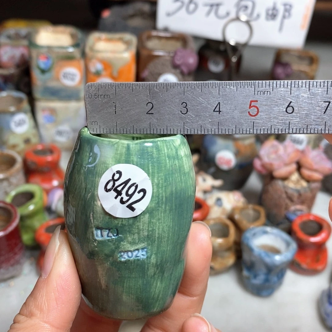 花盆特价，不退不换的