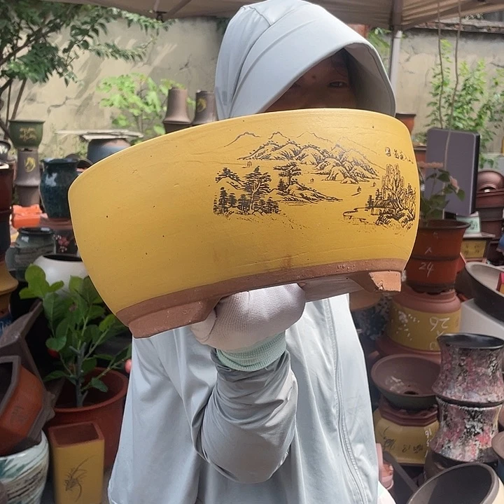 黄色江山如画中号花盆紫砂花盆紫砂